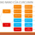 Các dạng nano của Curcumin và cách đánh giá phân biệt