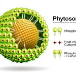 Giới thiệu công nghệ Phytosome