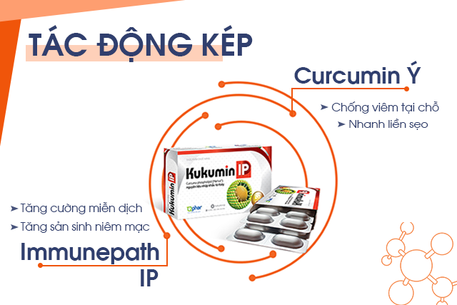 curcumin Ý, curcumin phytosome, tác động kép, Kukumin IP, Immunepath IP