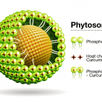 10 ưu điểm của sản phẩm công nghệ phytosome