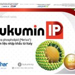 Danh sách nhà thuốc tại Quận 10 phân phối Kukumin IP