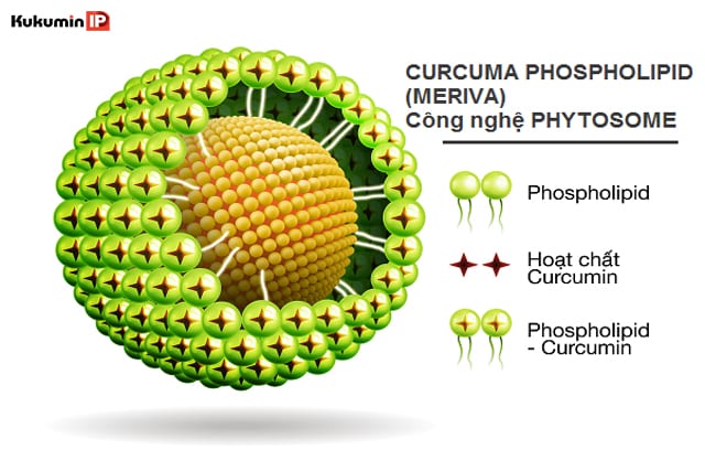 curcumin nano - curcumin phytosome