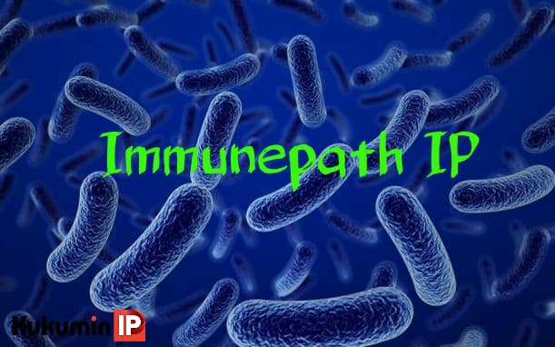 Immunepath IP Kukumin IP Kukuminip immunpat imunpat lactobacillus lactoba probiotic