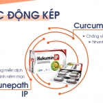 Cơ chế tác dụng của Kukumin IP đối với viêm loét và trào ngược dạ dày